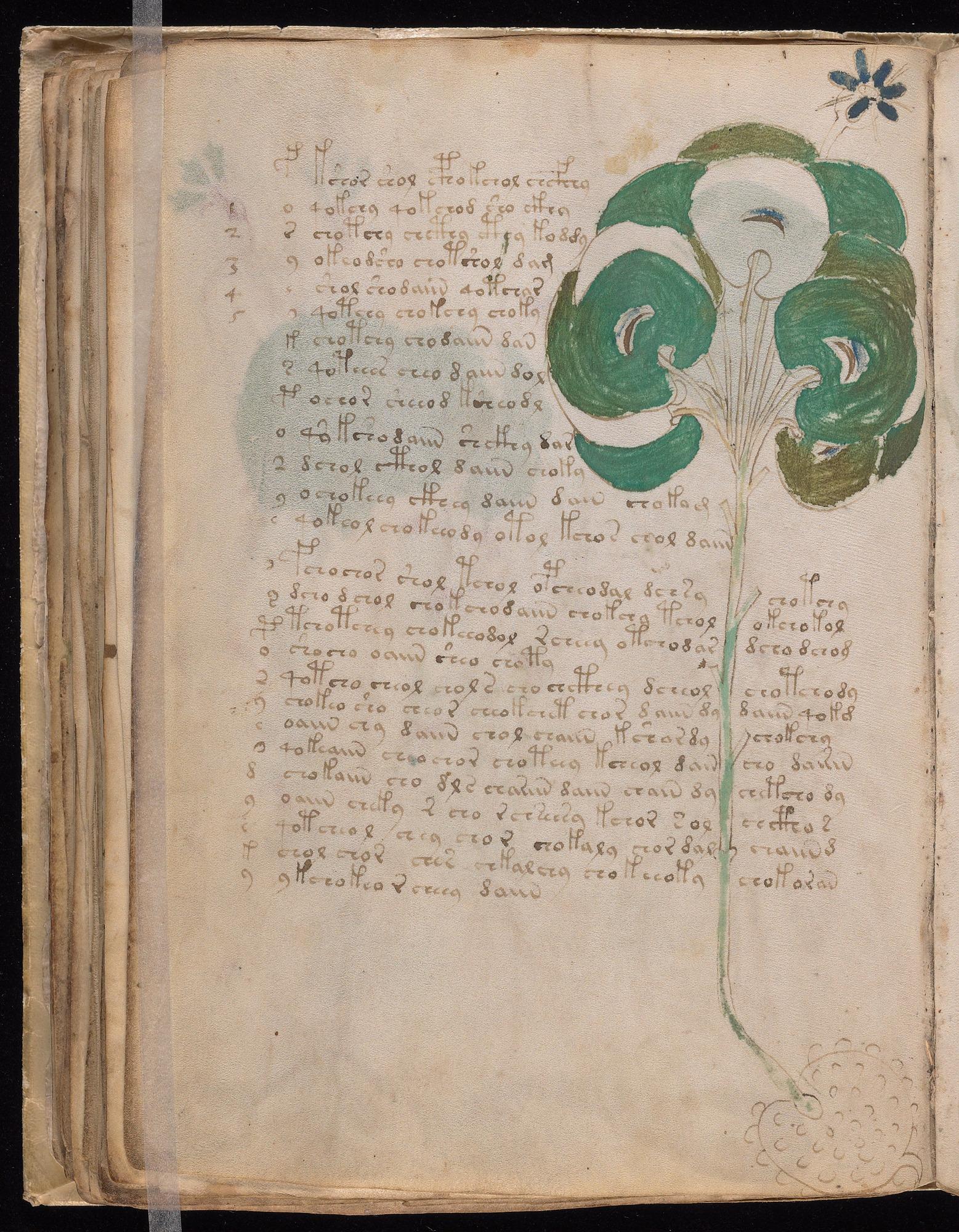 Voynich Manuscript folio f49v — Beinecke MS 408